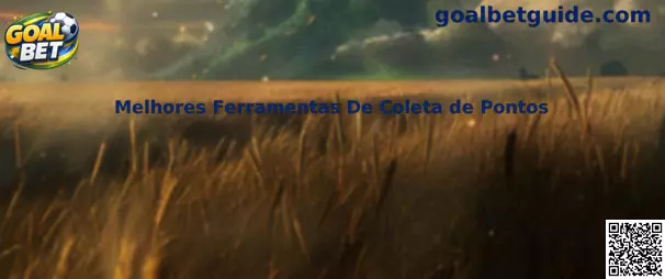 Melhores Ferramentas De Coleta de Pontos